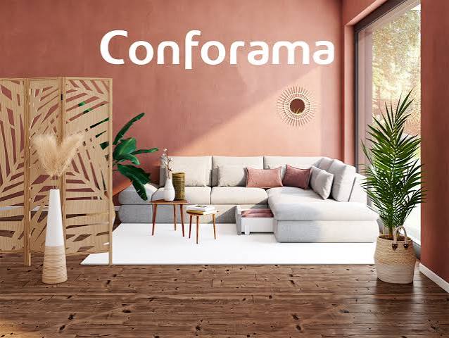Cover image for the Conforama case study